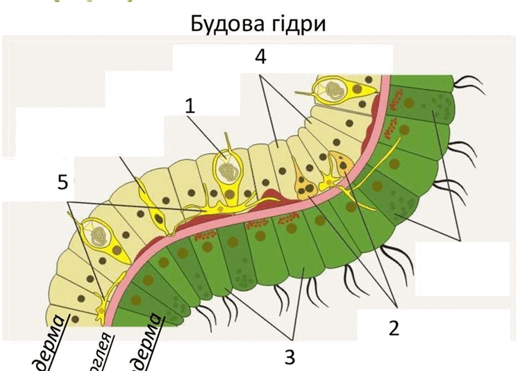 09017rfc-6f3a-743x534.png
