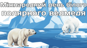 27 лютого - Міжнародний день білого полярного ведмедя