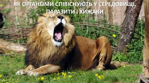 Презентація до уроку: "ЯК ОРГАНІЗМИ СПІВІСНУЮТЬ У СЕРЕДОВИЩІ. ПАРАЗИТИ І ХИЖАКИ"