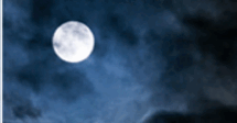 09017w5n-e458-215x112.png