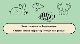 Характерні риси та будова тварин. Системи органів тварин та регуляція їхніх функцій
