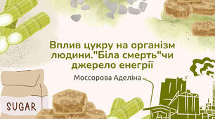 Презентація "Вплив цукру на організм людини."Біла смерть"чи джерело енегрії?"