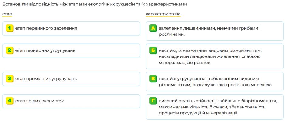 09017xms-479b-940x404.png