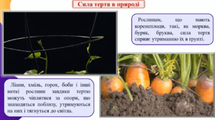 Пазл "Сила тертя для рослин"