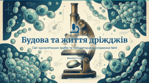 Будова та процеси життєдіяльності  одноклітинних (на прикладі дріжджів) грибів. Лабораторне дослідження 14.   Мікроскопічних грибів (на прикладі дріжджів).
