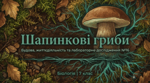 Будова та процеси життєдіяльності багатоклітинних грибів (на прикладі шапинкових).Лабораторне дослідження 16.   Будови шапинкових грибів.