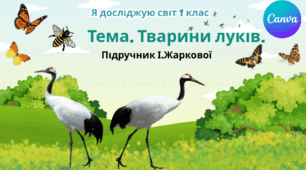 Презентація "Тварини луків." ЯДС 1 клас, підручник І. Жаркової
