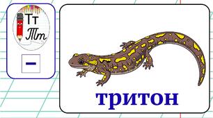 Пазл буква Т