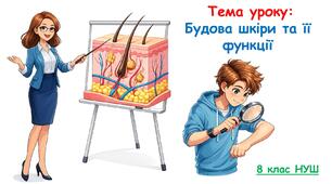 Презентація з біології: Будова шкіри та її функції. 8 клас НУШ.