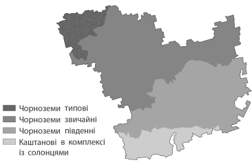 090186wb-eb62-366x239.png