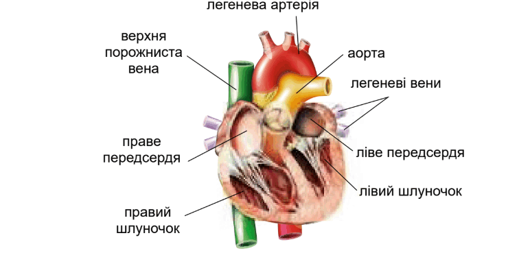 0901878a-dee9-772x369.png