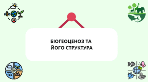 Презентація з біології 11 клас на Тему: «Біогеоценоз та його структура»