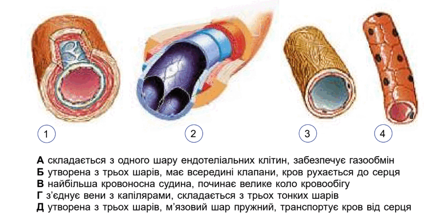 090187if-19dd-906x439.png