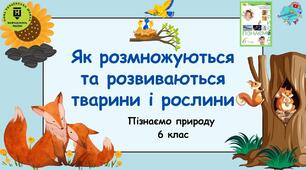 §24   Як розмножуються і розвиваються рослини і тварини