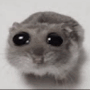https://fs09.vseosvita.ua/09018964-45b3-90x90.png