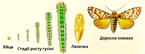 090189h4-f6ac-500x186.png