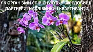 Презентація до уроку: "ЯК ОРГАНІЗМИ СПІВІСНУЮТЬ У СЕРЕДОВИЩІ. ПАРТНЕРИ. НАХЛІБНИКИ І КВАРТИРАНТИ"