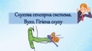 Слухова сенсорна система. Вухо. Гігієна слуху.