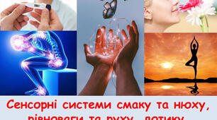Сенсорні системи рівноваги, руху, дотику, температури тіла, болю.