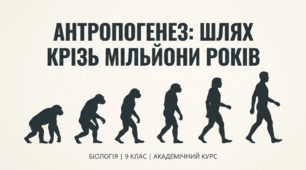 Еволюція людини. Етапи еволюції людини.