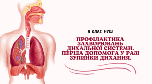 Профілактика захворювань дихальної системи. Перша допомога у разі зупинки дихання.