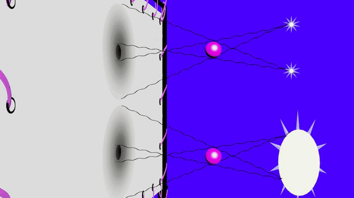 09018fo8-2f80-692x388.gif