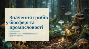 Значення грибів у природі та житті людини