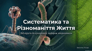 Основні групи організмів: бактерії, археї, еукаріоти. Неклітинні форми життя: віруси.