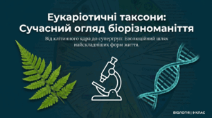 Огляд основних еукаріотичних таксонів
