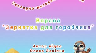 Вправа "Зернятка для горобчика" (Сенсорно-моторний розвиток)