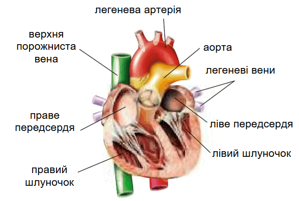 09018i1u-de92-588x396.png