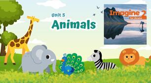 Test Unit 5 Animals Imagine for Ukraine 2