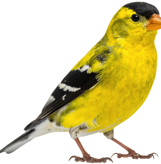 09018jhy-4608-321x327.png