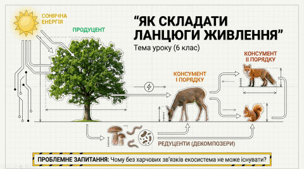 Як складати ланцюги живлення. 6 клас НУШ