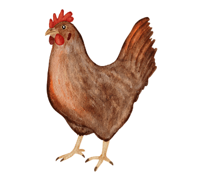09018jsb-9445-411x357.png