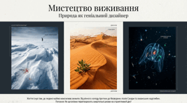 Що таке мистецтво виживання. 6 клас НУШ