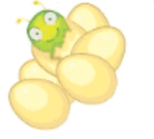 09018lo4-a95b-317x286.png