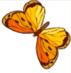 09018loi-a0f3-303x314.png