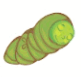 09018lop-508f-264x250.png