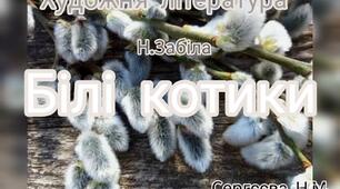 Художня література ( Слухання вірша Н.Забіла "Білі котики" )