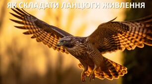 Презентація до уроку: "ЯК СКЛАДАТИ ЛАНЦЮГИ ЖИВЛЕННЯ"