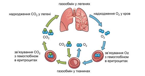 09018nxy-eecd-569x297.jpg