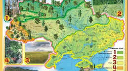 8 г Природні зони України. Мішані і широколистяні ліси