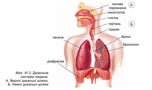 09018o5y-e5cd-498x295.jpg