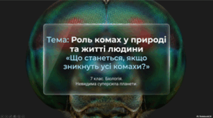 7 клас НУШ. Роль комах у природі та житті людини