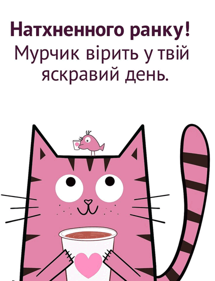 09018p39-6146-430x562.png
