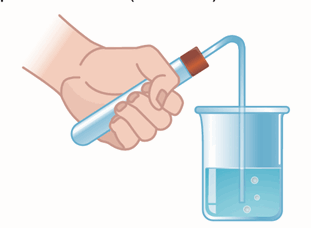 09018p81-f5c7-311x228.png