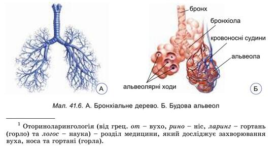 09018pbe-fc39-552x289.jpg