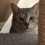 https://fs09.vseosvita.ua/09018q6q-4826-90x90.png
