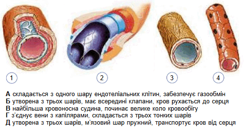 09018r94-cd1e-678x355.png
